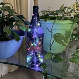 Decorative lighted wind bottles